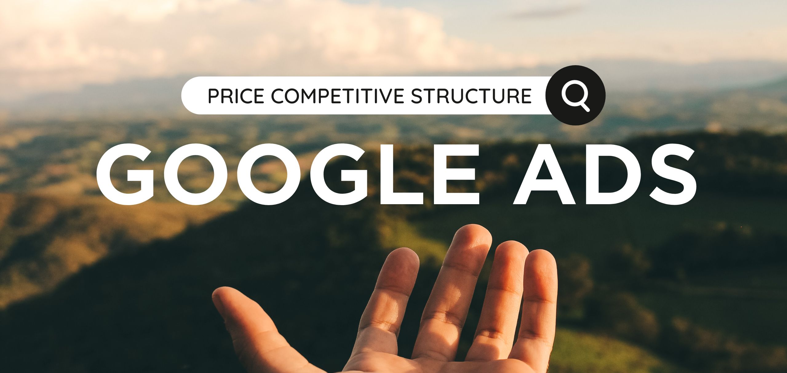 Find success in Google Ads with a price competitive structure