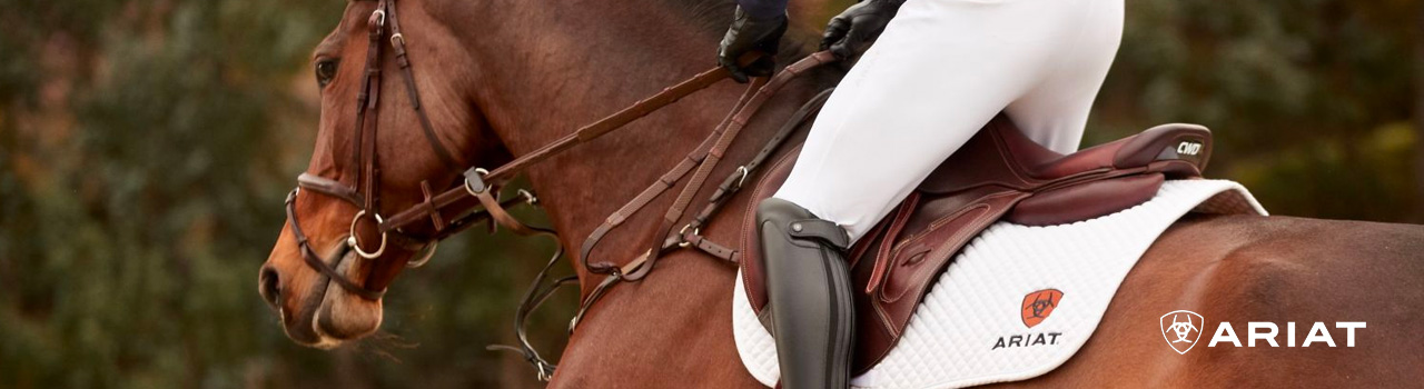 Launching equestrian brand Ariat into Europe - PPC Case Study